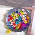 96 mini fleurs séchées pressées 1,5 cm pour résine – 1