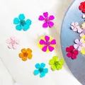 96 mini fleurs séchées pressées 1,5 cm pour résine – 5