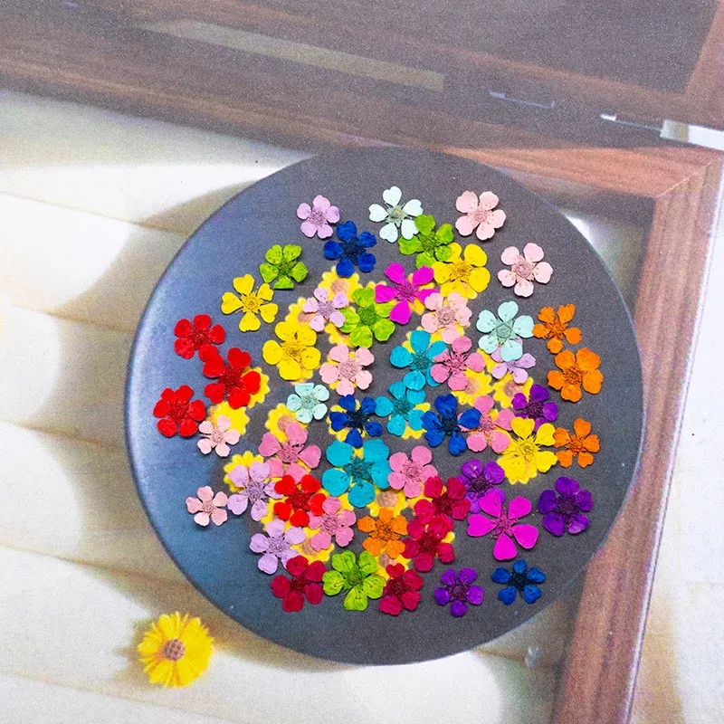 96 mini fleurs séchées pressées 1,5 cm pour résine