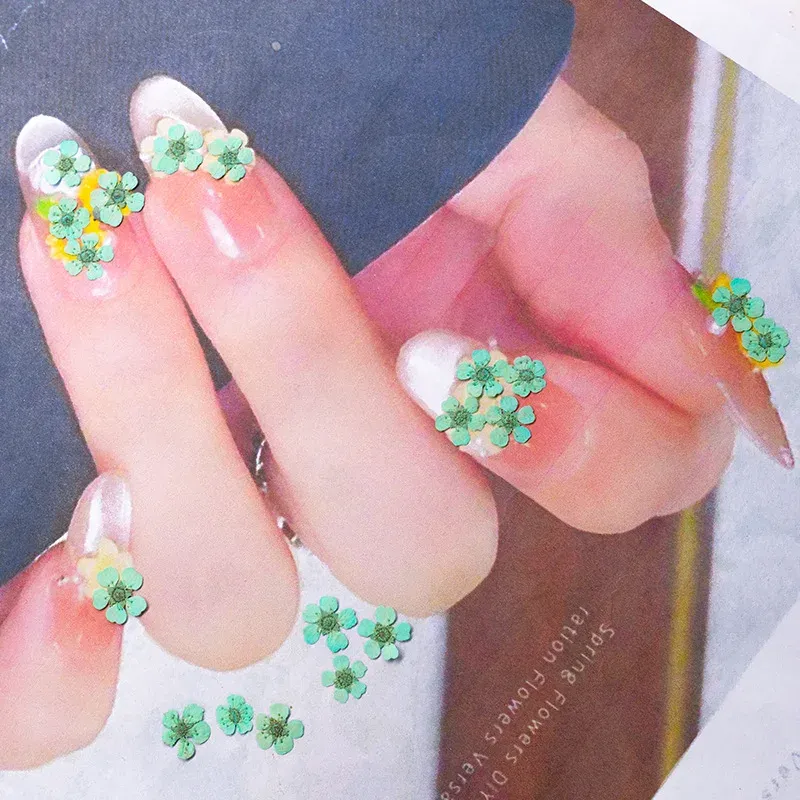 96 mini fleurs séchées pressées 1,5 cm pour résine