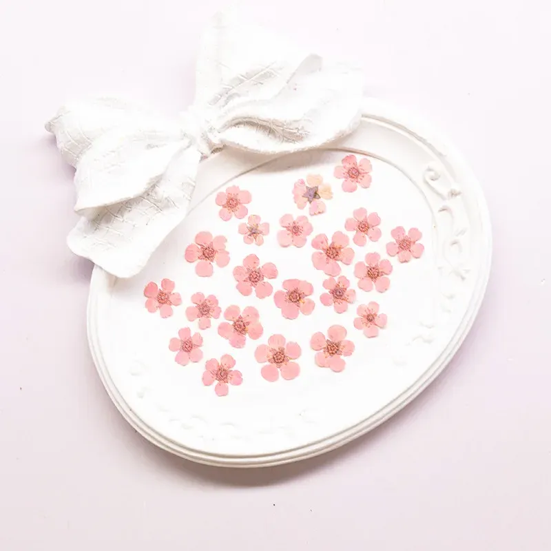96 mini fleurs séchées pressées 1,5 cm pour résine