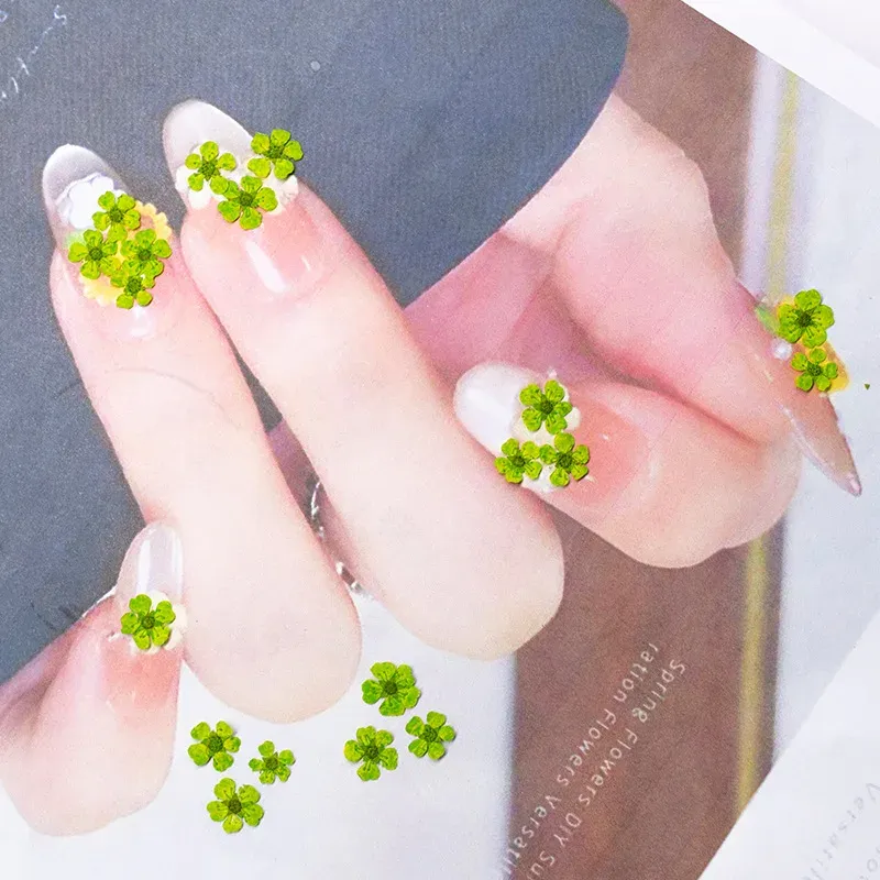 96 mini fleurs séchées pressées 1,5 cm pour résine