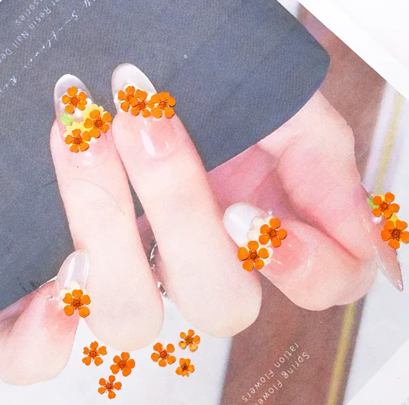 96 mini fleurs séchées pressées 1,5 cm pour résine
