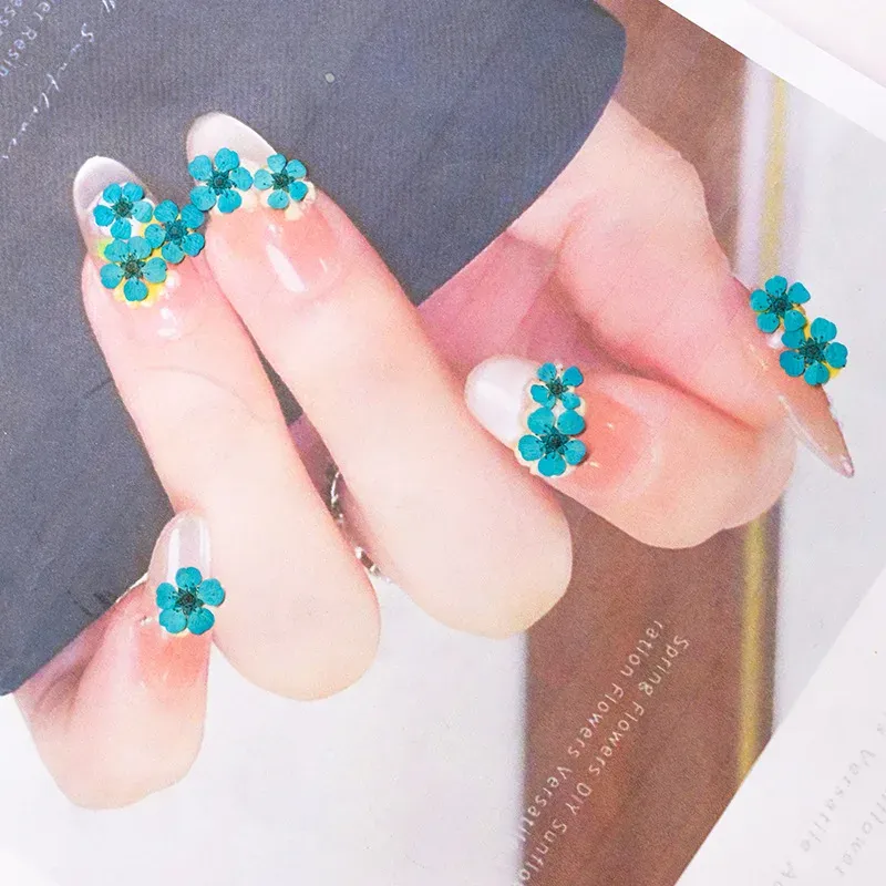 96 mini fleurs séchées pressées 1,5 cm pour résine