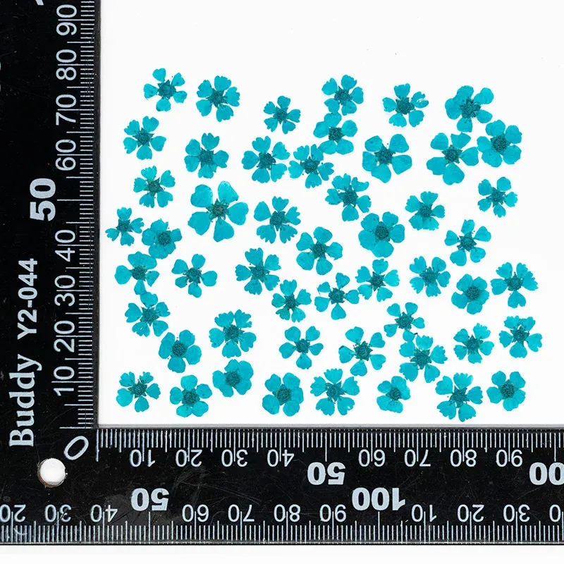 96 mini fleurs séchées pressées 1,5 cm pour résine