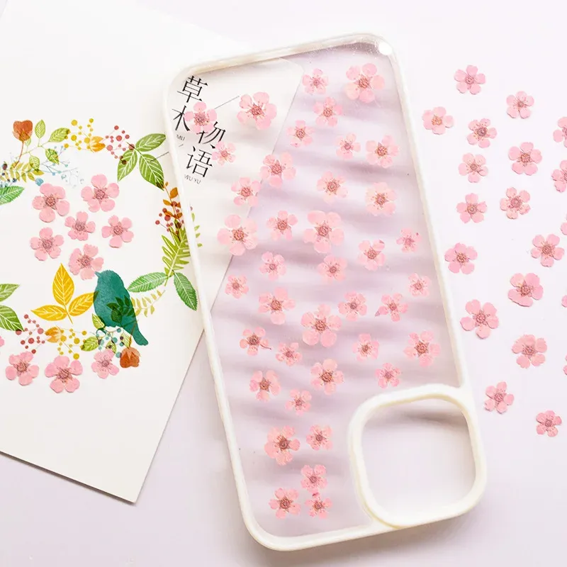 96 mini fleurs séchées pressées 1,5 cm pour résine