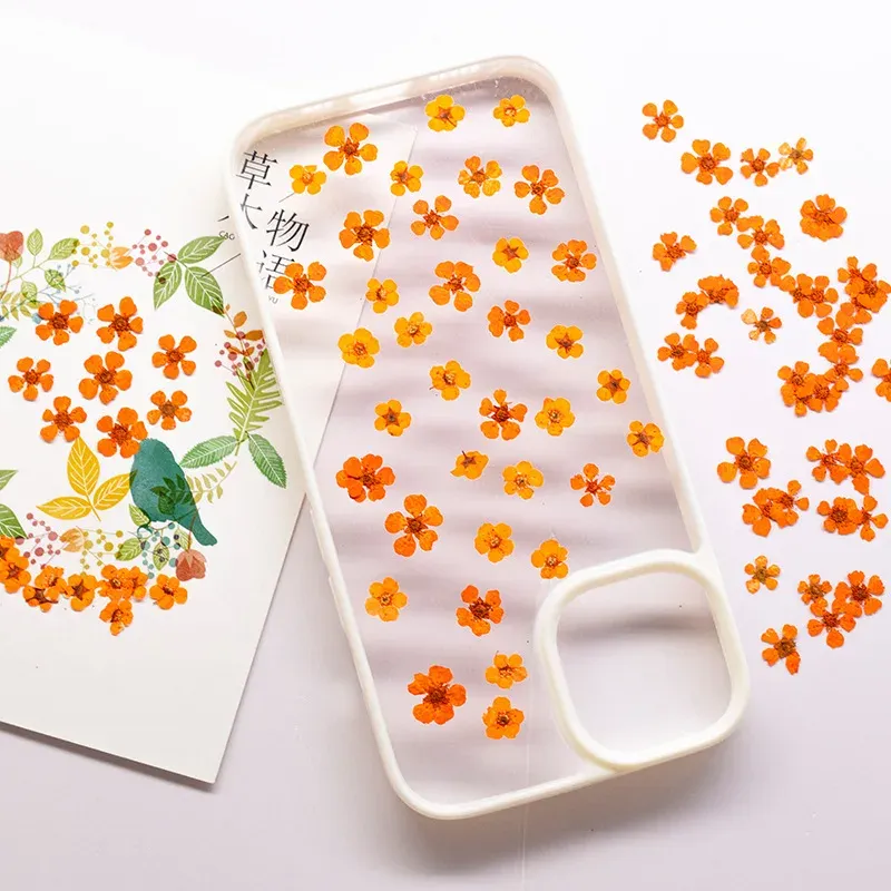 96 mini fleurs séchées pressées 1,5 cm pour résine
