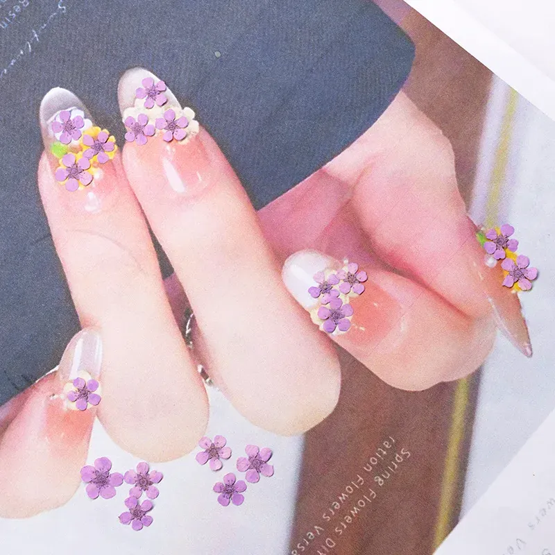 96 mini fleurs séchées pressées 1,5 cm pour résine