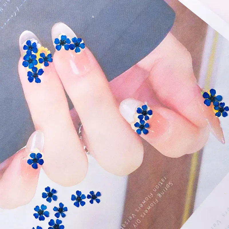 96 mini fleurs séchées pressées 1,5 cm pour résine