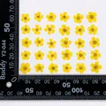 96 mini fleurs séchées pressées 1,5 cm pour résine – Color Lavande (16)