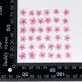 96 mini fleurs séchées pressées 1,5 cm pour résine – Color Orange (12)