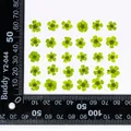 96 mini fleurs séchées pressées 1,5 cm pour résine – Color vert (9)