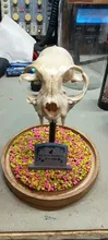 Avis clients – Colle résine UV cristal dure 20 à 1000 g pour bijoux et artisanat
