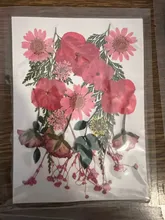 Avis clients – Fleurs séchées et feuilles pressées pour marque-pages et résine