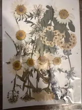 Avis clients – Fleurs séchées et feuilles pressées pour marque-pages et résine