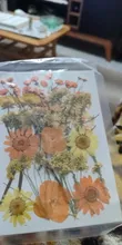 Avis clients – Fleurs séchées naturelles pressées pour résine et bijoux