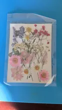 Avis clients – Fleurs séchées naturelles pressées pour résine et bijoux