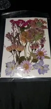Avis clients – Fleurs séchées naturelles pressées pour résine et bijoux