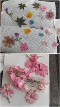 Avis clients – Fleurs séchées naturelles pressées pour résine et bijoux