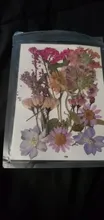 Avis clients – Fleurs séchées naturelles pressées pour résine et bijoux