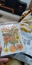 Avis clients – Fleurs séchées naturelles pressées pour résine et bijoux