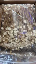 Avis clients – Lot de 100 mini fleurs séchées gypsophile pour résine