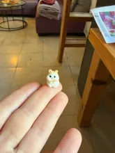 Avis clients – Lot de 5 ou 10 mini hamsters résine pour décoration jardin