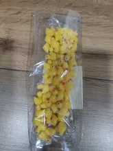 Avis clients – Lot de 50 à 200 mini canards résine pour micro paysage