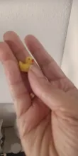 Avis clients – Lot de 50 à 200 mini canards résine pour micro paysage