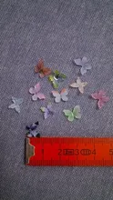 Avis clients – Miniatures papillons lot de 10 à 50