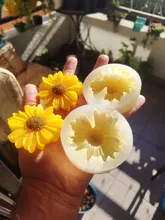 Avis clients – Moule silicone marguerite pour bougie et savon