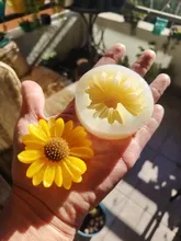 Avis clients – Moule silicone marguerite pour bougie et savon