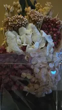 Avis clients – Plantes naturelles séchées pour résine et bougies