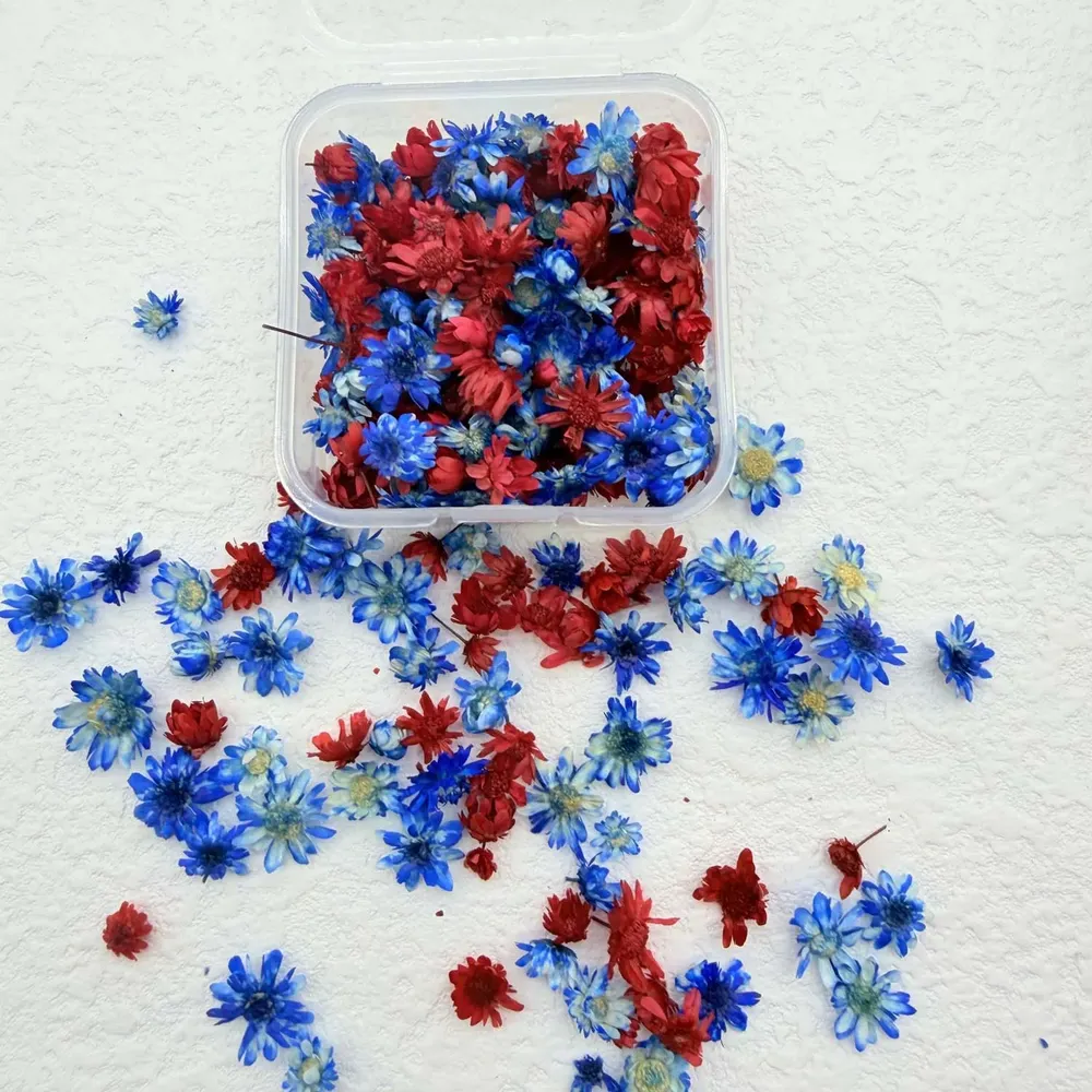 Boîte remplissage résine artisanat floral pour bijoux et bougies