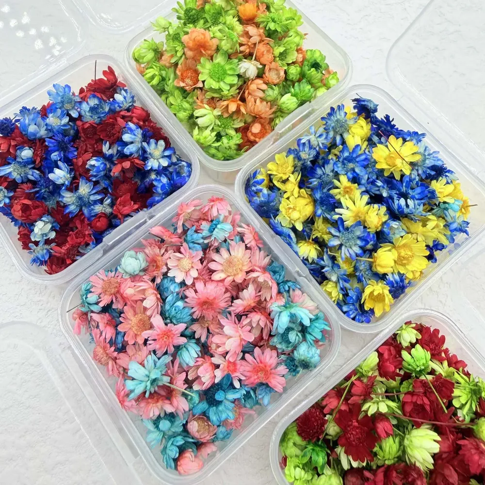 Boîte remplissage résine artisanat floral pour bijoux et bougies