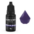 Colle résine UV couleur 10 ml séchage rapide pour bijoux – Couleur Argent (10)