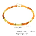 Collier résine ambre marron tube acier inoxydable – Metal Color necklace 02