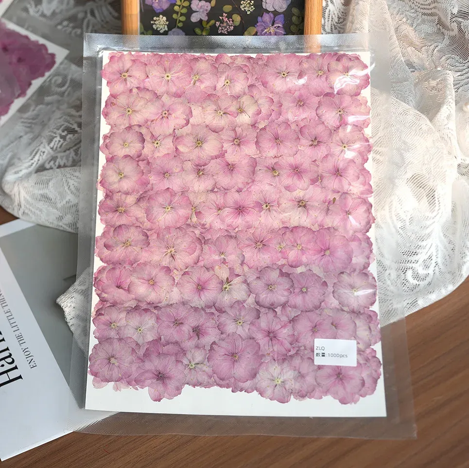 Fleurs de cerisier séchées pressées pour résine et bougies