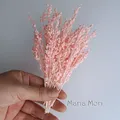 Fleurs de maïs séchées colorées 10g pour artisanat – 1