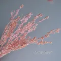 Fleurs de maïs séchées colorées 10g pour artisanat – 2