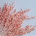 Fleurs de maïs séchées colorées 10g pour artisanat – 3