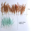 Fleurs de maïs séchées colorées 10g pour artisanat – 4