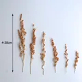 Fleurs de maïs séchées colorées 10g pour artisanat – 5
