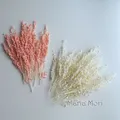 Fleurs de maïs séchées colorées 10g pour artisanat – 6
