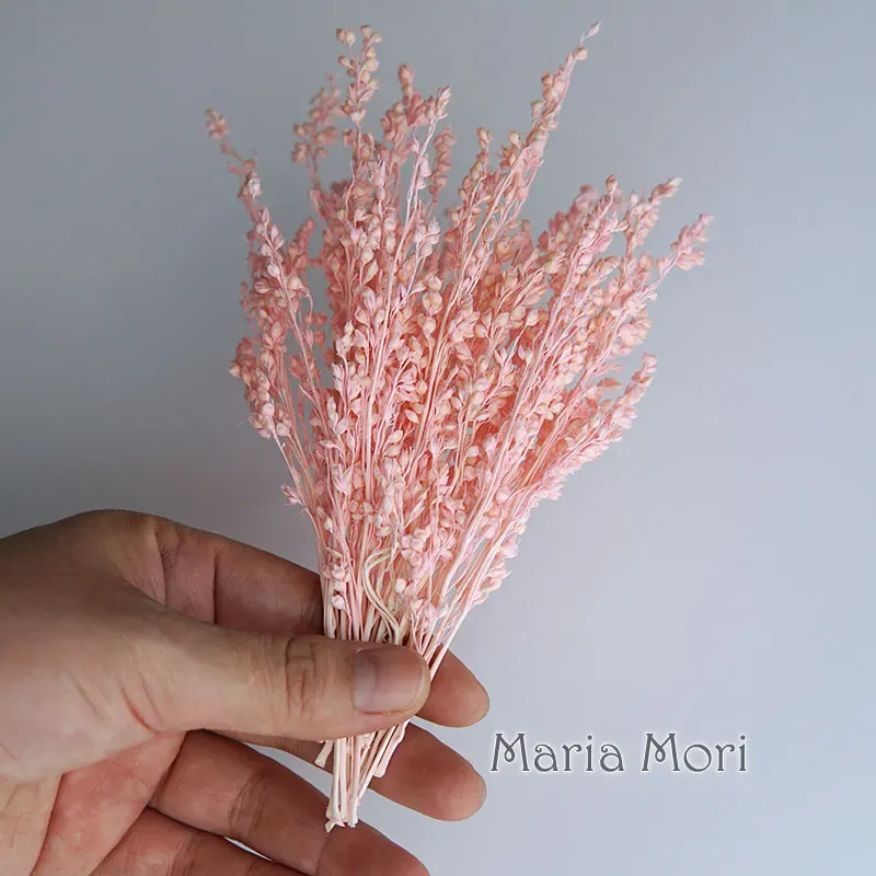 Fleurs de maïs séchées colorées 10g pour artisanat