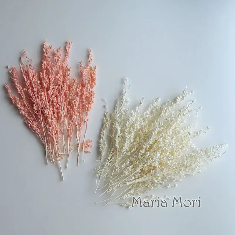 Fleurs de maïs séchées colorées 10g pour artisanat