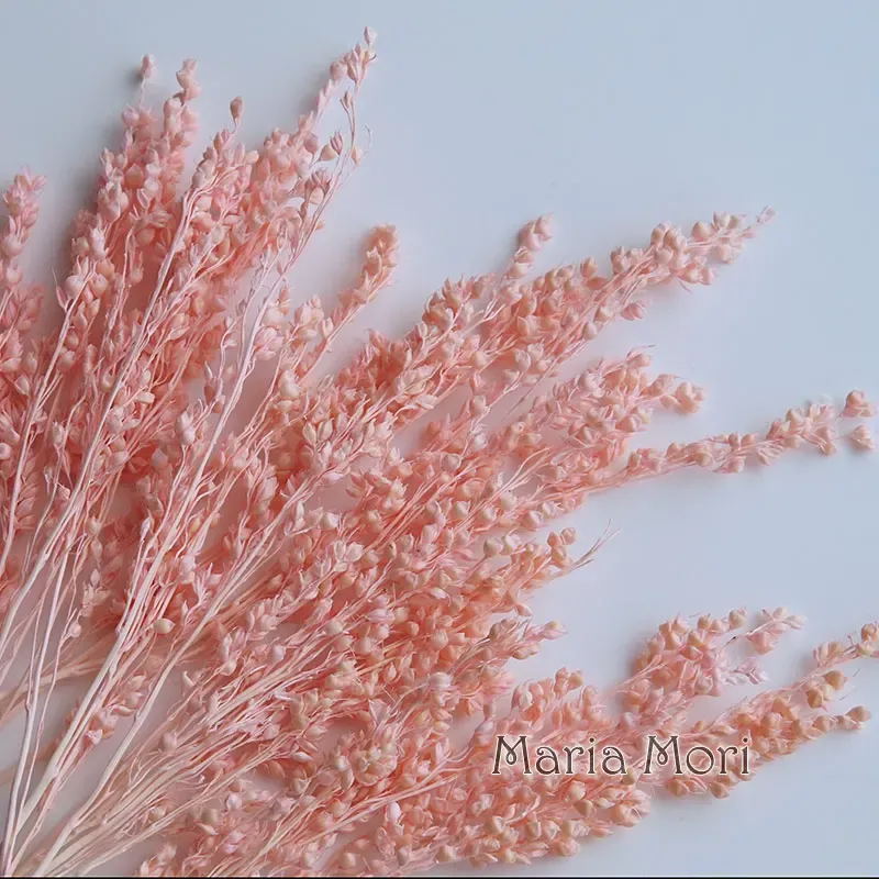 Fleurs de maïs séchées colorées 10g pour artisanat