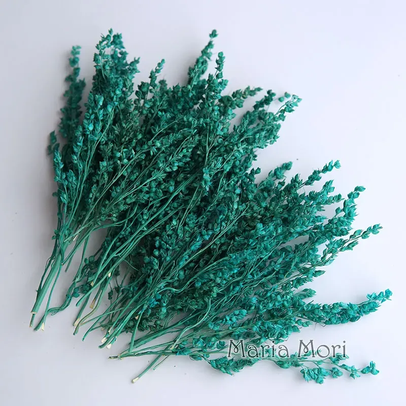 Fleurs de maïs séchées colorées 10g pour artisanat