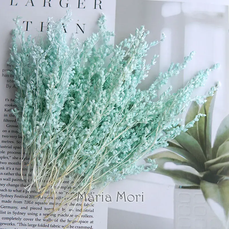 Fleurs de maïs séchées colorées 10g pour artisanat