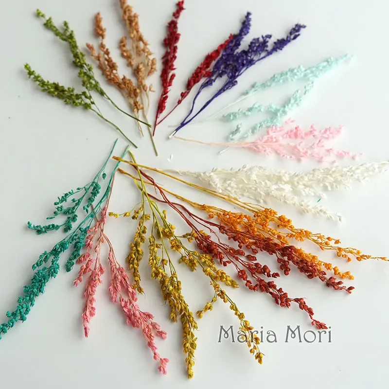 Fleurs de maïs séchées colorées 10g pour artisanat